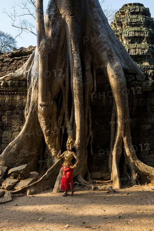 Young woman dressed as a temple dancer, Apsara, Ta Prohm, Angkor Wat, Angkor, UNESCO World Heritage Site, Siem Reap, Cambodia, Indochina, Southeast Asia