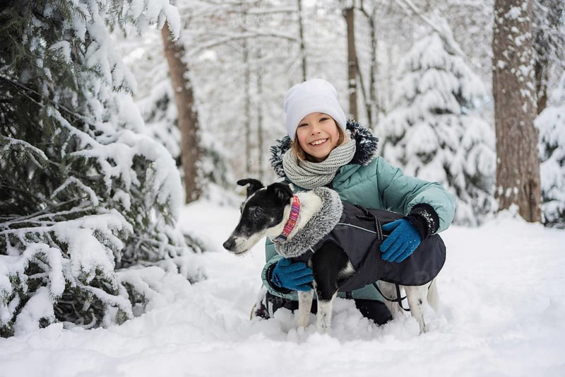 A smiling child in winter attire hugs a dog, both enjoying a snowy forest day. The scene captures the joy of companionship and the beauty of a serene winter landscape
