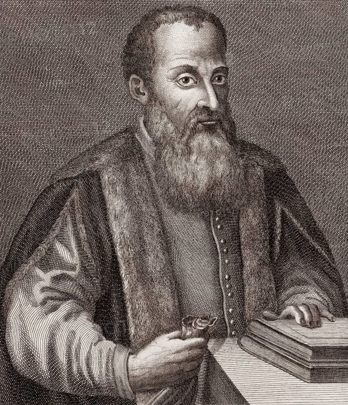 Ciriaco Strozzi, 1504 – 1565, Italian Philosopher
