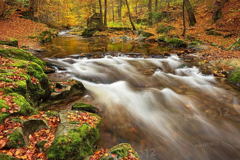 Geotope strudel pots, moss-covered rocks with colorful leaves on the Schwarza river surrounded by forest in autumn, Schwarzatal nature reserve between Bad Blankenburg and Schwarzburg, Thuringia, Germany