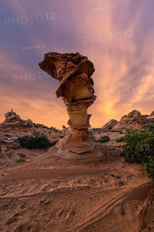 A delicate and intricate rock formation at Coyote Buttes in the Paria Canyon-Vermilion Cliffs Wilderness, Arizona, against a vibrant sunset sky