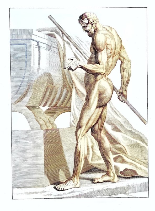 An anatomical model, side view, reproducing the proportions of the statue of Faunus in the Villa Borghese, Rome, Italy, front view, classical sculpture of a strong naked man with a spear in his hand