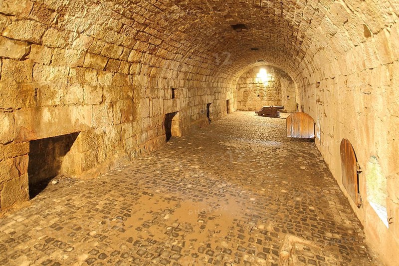 Vaulted cellar with medieval cannon, corridor, interior view, underground, casemates, castle, Marburg, Hesse, Germany