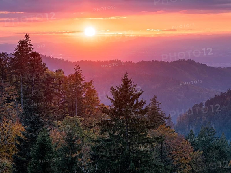 Sunset in the Scharzwald in autumn, view over the Rhine plain to the Vosges, Black Forest, Baden-Württemberg, Germany