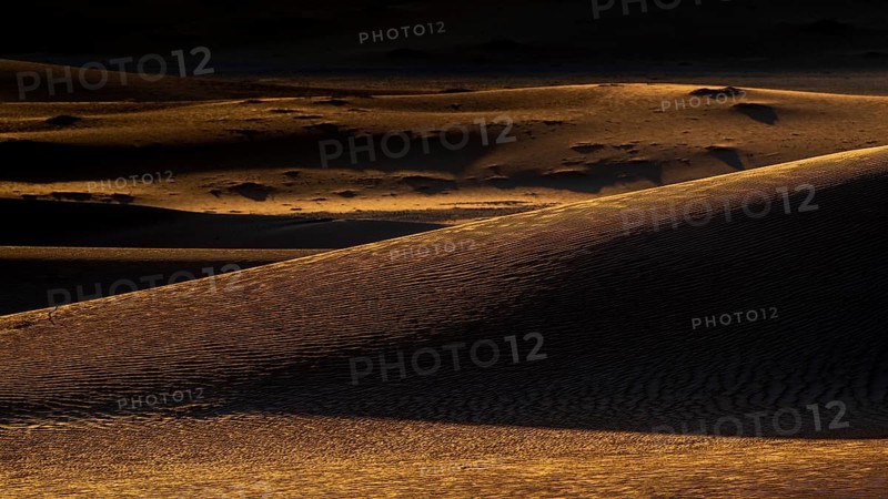 Sand dunes in the Rhub al Khali desert, empty quarter, largest sandy desert in the world, Oman