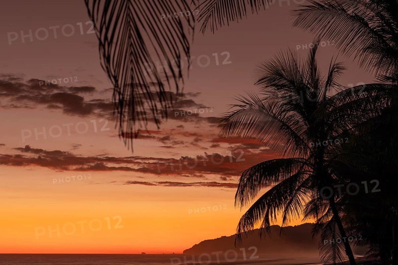After sunset, the deep red sky glows above palms and ocean spray with views of Corcovado National Park. Osa Peninsula Costa Rica