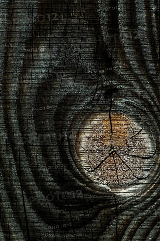 Close up of a plank of wood