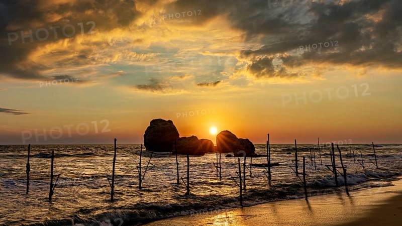 Sunset over the ocean with wooden posts and golden clouds, The Stilt Fishermen's Beach at Koggala in Sri Lanka