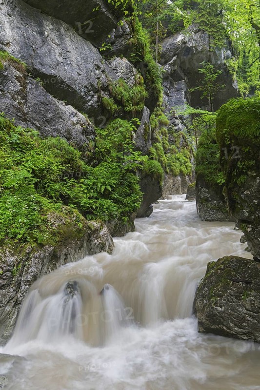 The river Weißbach running through the Seisenbergklamm, Seisenbachklamm, gorge near Weißbach bei Lofer, Saalachtal, Salzburg, Salzburger Land, Austria