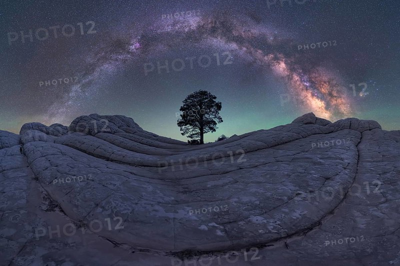 A breathtaking nightscape of the Milky Way galaxy soaring over the unique rock formations of White Pocket, Arizona, USA. A lone tree stands amid a desert landscape