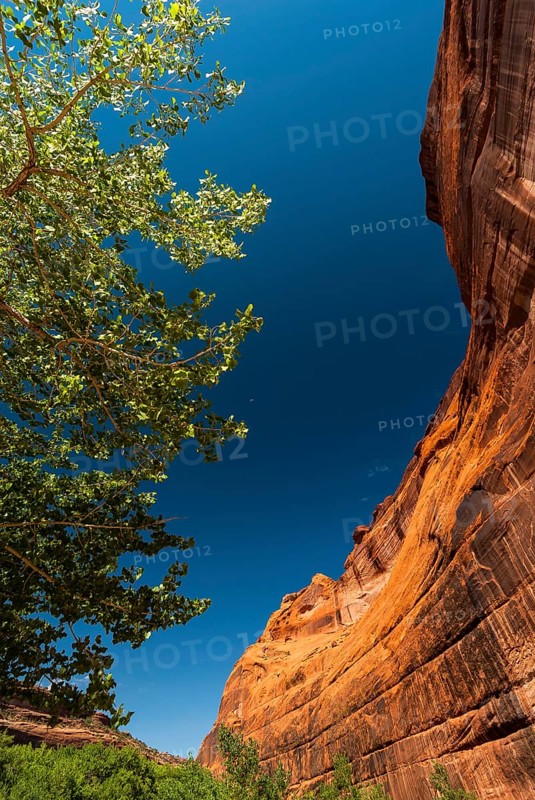 Rock formation, blue sky in Chelly Canyon National Park, Arizona, USA
