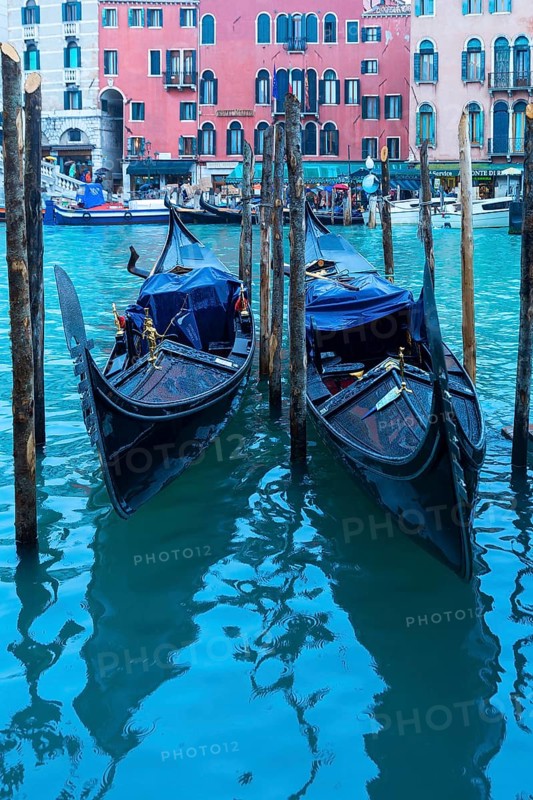 Gondolas anchor in the rain at the Rialto Bridge, Venice, Veneto, Italy