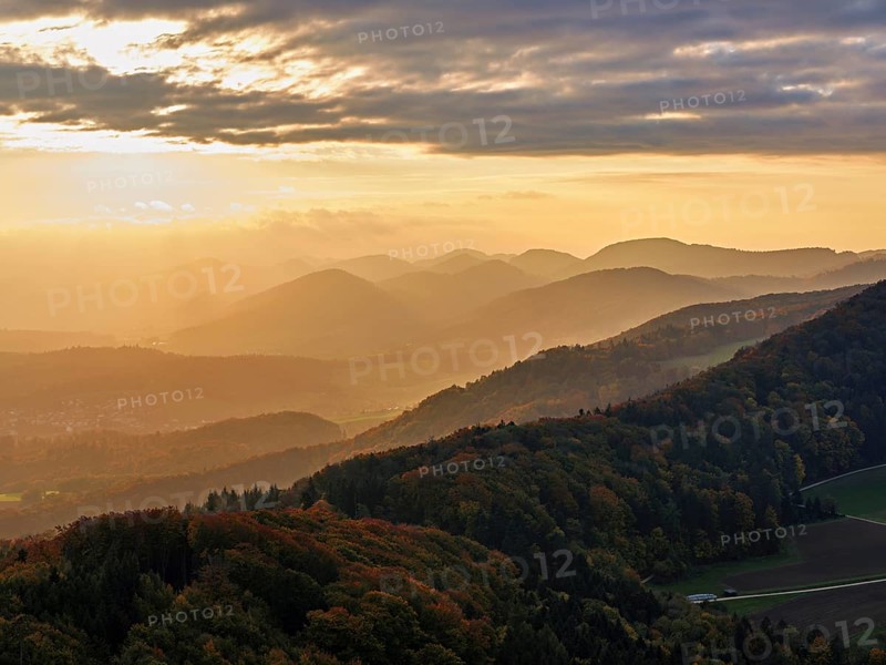 View of an autumnal forest from the Gisliflue, behind the Jurassic foothills in the light of the setting sun, Talheim, Canton, Aargau, Switzerland
