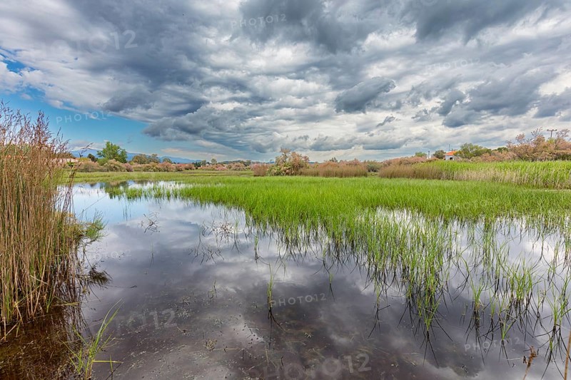 Landscape Greece, island Lesbos, thunderstorm, thunderstorm atmosphere, reed, biotope, water, nature, Lesbos, Greece