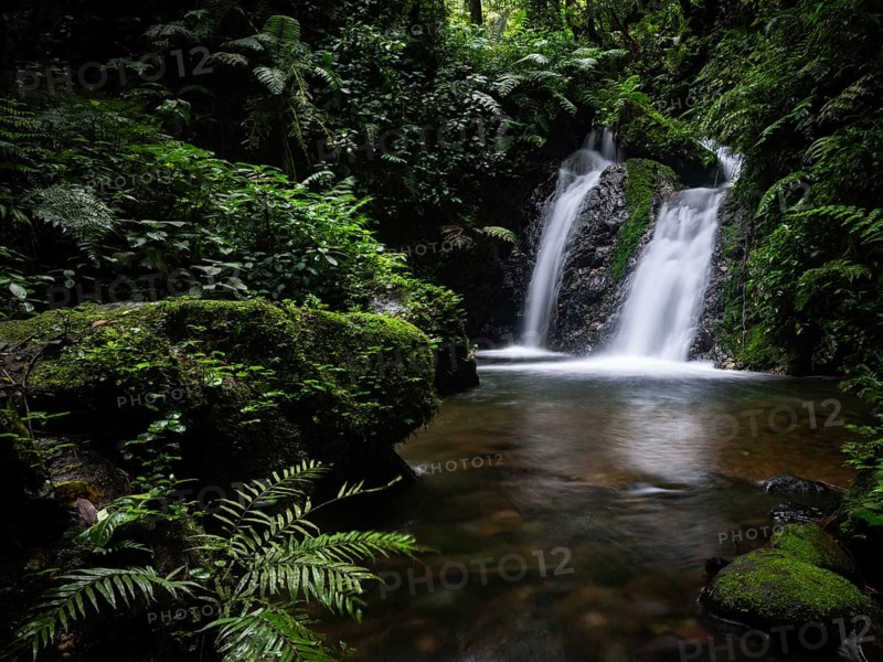Stunning waterfall flows amidst lush greenery in the Bwindi Impenetrable Forest, Uganda. The serene landscape captures the essence of natural beauty and tranquility