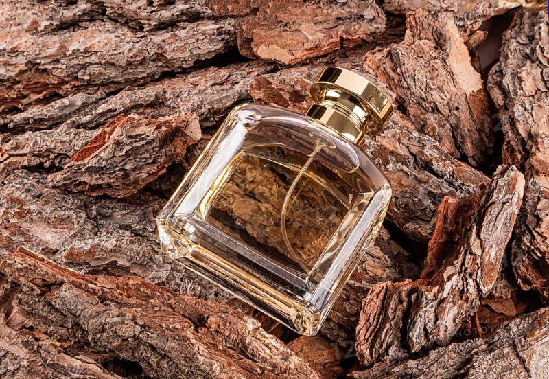 A luxurious male perfume bottle with a golden cap rests on natural, textured wood bark The composition highlights elegance and the contrast between luxury and nature