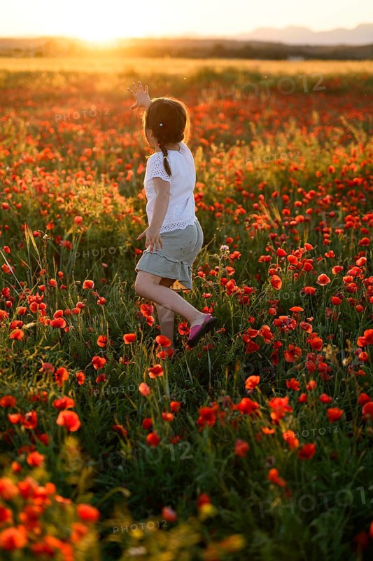 Back view of unrecognizable girl joyfully running in a lush field filled with blooming Papaver rhoeas, commonly known as common poppies or red poppies, during a picturesque sunset