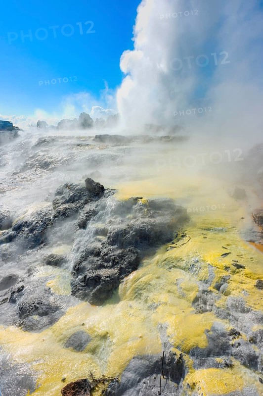 Prince of Wales and Pohutu geysers erupting, Te Puia Thermal Valley, Rotorua, Bay of Plenty, North Island, New Zealand