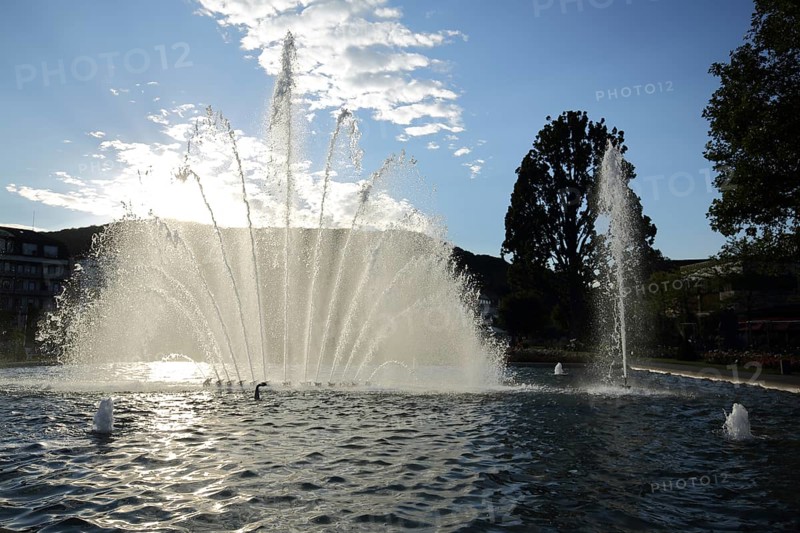 Rose park and water fountain in backlight, water feature, water basin, silhouette, Bad Kissingen, Lower Franconia, Rhön, Bavaria, Germany