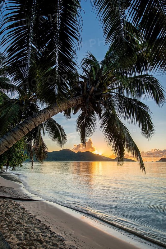 Anse Government beach at Hotel L'Archipel Resort, Praslin, Republic of Seychelles, Indian Ocean