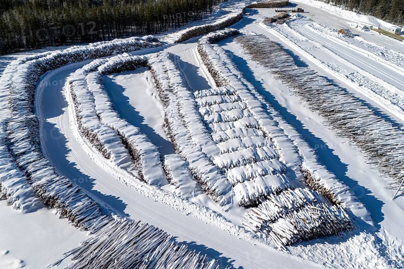 Storage area for cut logs under the snow, Region of La Mauricie, Province of Quebec, Canada