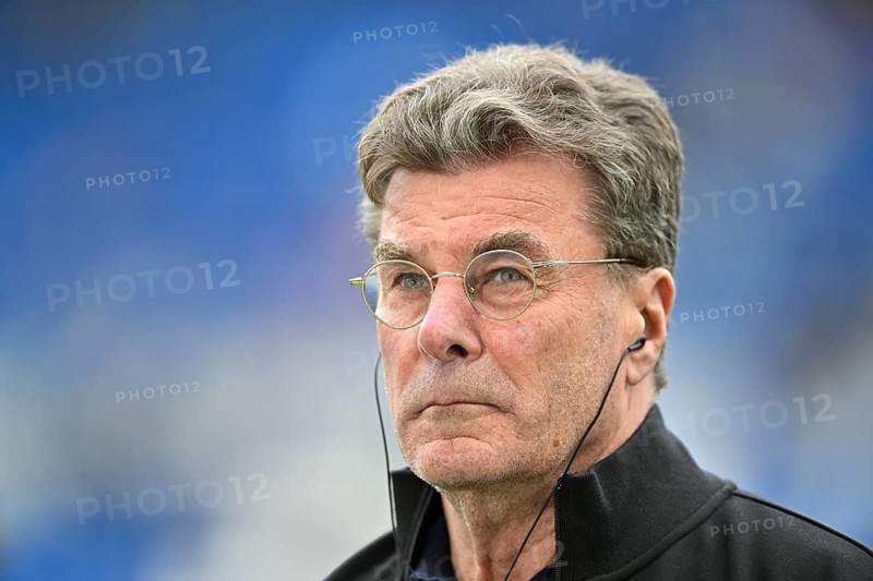Coach coach Dieter Hecking VfL Wolfsburg portrait soccer Bundesliga, PreZero Arena, Sinsheim, Baden-Württemberg, Germany