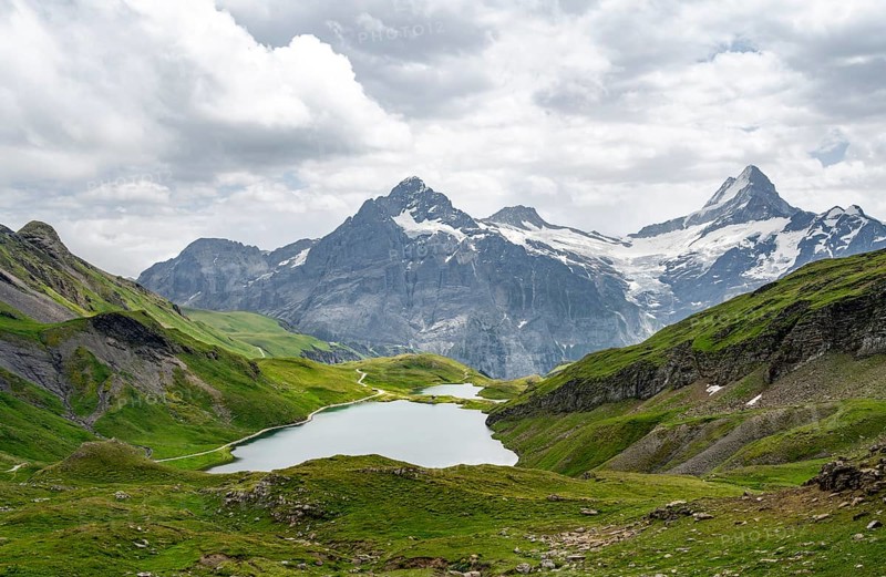 Mountain landscape with Bachalpsee mountain lake, Mittelhorn peaks and Schreckhorn with upper Grindelwald glacier, Bernese Alps, Bernese Oberland, Switzerland