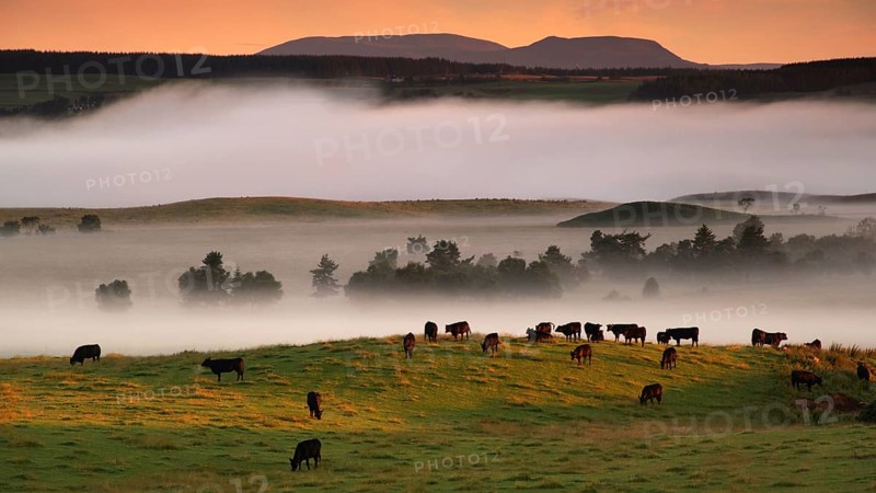 Europe, Scotland, Great Britain, England, landscape, CairnGorm Mountains, mountain group, fog atmosphere, Cairngorm Mountains
