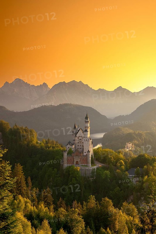 Neuschwanstein Castle in a mountainous scenery at a golden sunset, embedded in green forests, Schwangau, Ostallgäu, Allgäu, Swabia, Upper Bavaria, Bavaria, Germany