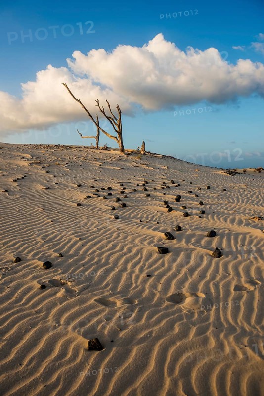 Lonely white sandy beach with dunes, sunrise, Porto Pino, Sardinia, south coast, Italy