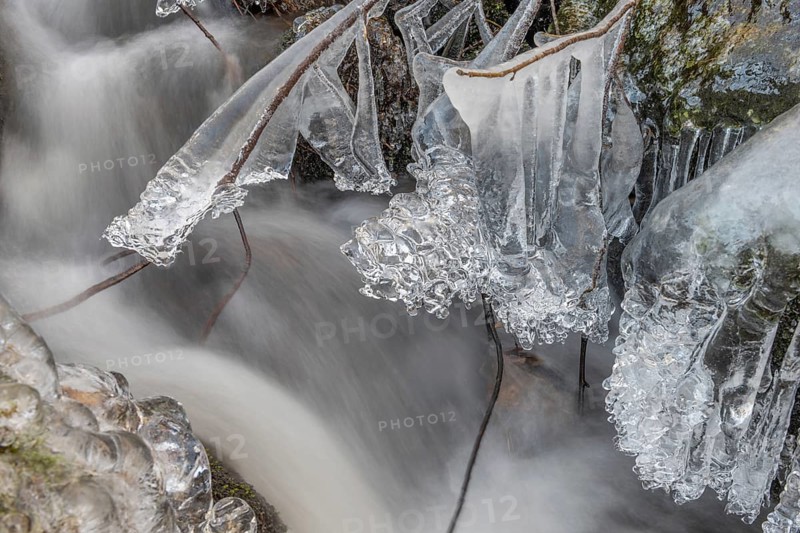 Branches are covered with ice near the river. The water flows gently and forms ice formations on the land and between the rocks. Upper Rhine, Vosges, Alsace, France