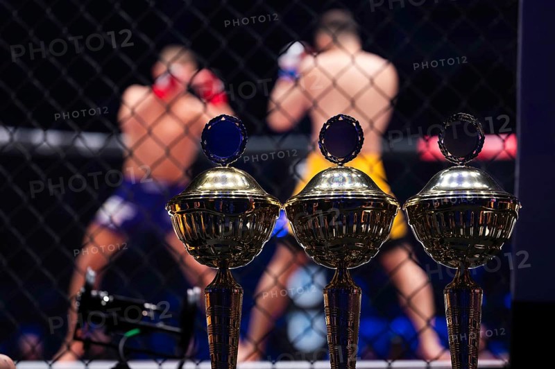 Cups standing in front of the ring where the fight takes place