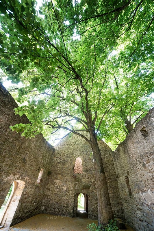 Former Protestant parish church of Abterode, Werra-Meissner district, Hesse, Germany