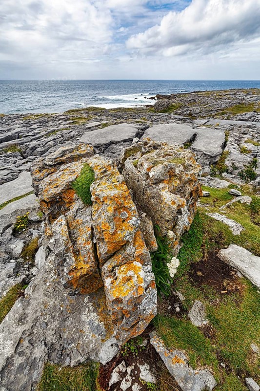 Bizarrely shaped limestone slabs, hiking trail along the coastline, limestone coast of the Burren, Murrooghtoohy viewpoint, County Clare, Wild Atlantic Way, Atlantic Ocean, Ireland