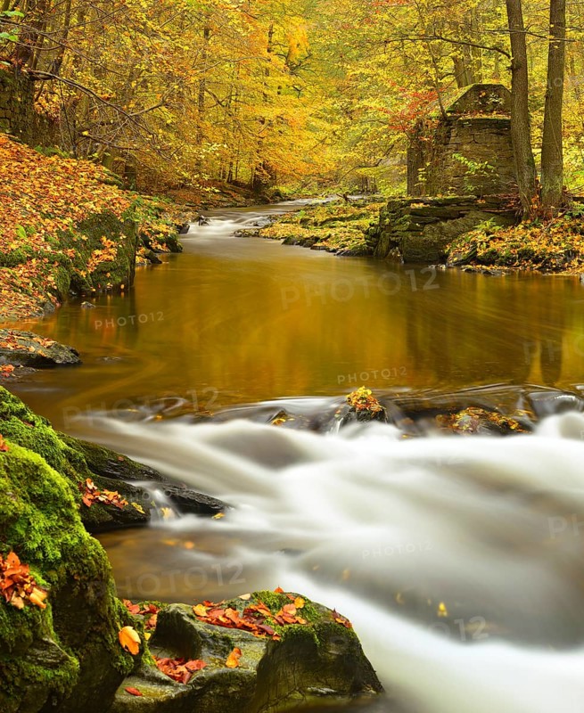 Autumn on the Schwarza river in the Schwarzatal valley between Bad Blankenburg and Schwarzburg, Thuringia, Germany