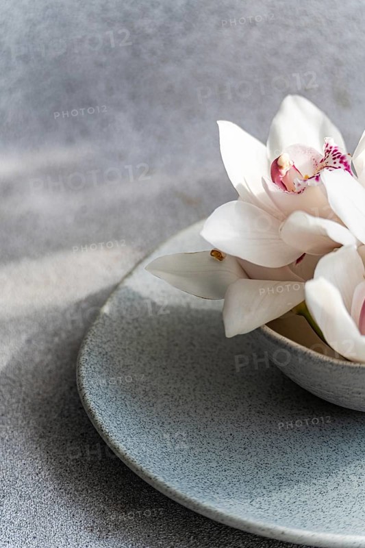 A delicate arrangement of white orchids in a textured ceramic bowl. The soft lighting highlights the petals, creating a serene and elegant composition ideal for decor themes