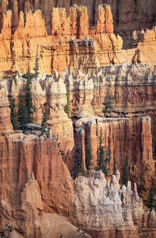 Dramatic rock formations create a stunning landscape in Bryce Canyon National Park. Hoodoos rise magnificently, showcasing the breathtaking beauty of this natural wonder in the USA