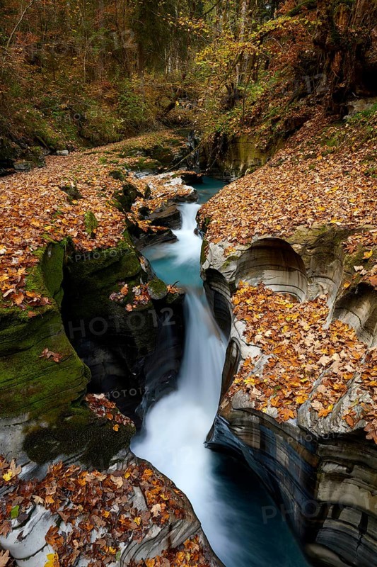 Forest Stream in autumn colours, St. Gallen, Switzerland