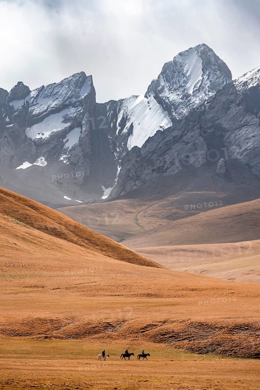 Rider in front of mountain landscape with yellow meadows, mountain peak, Keltan Mountains, Sary Beles Mountains, Tien Shan, Naryn Province, Kyrgyzstan