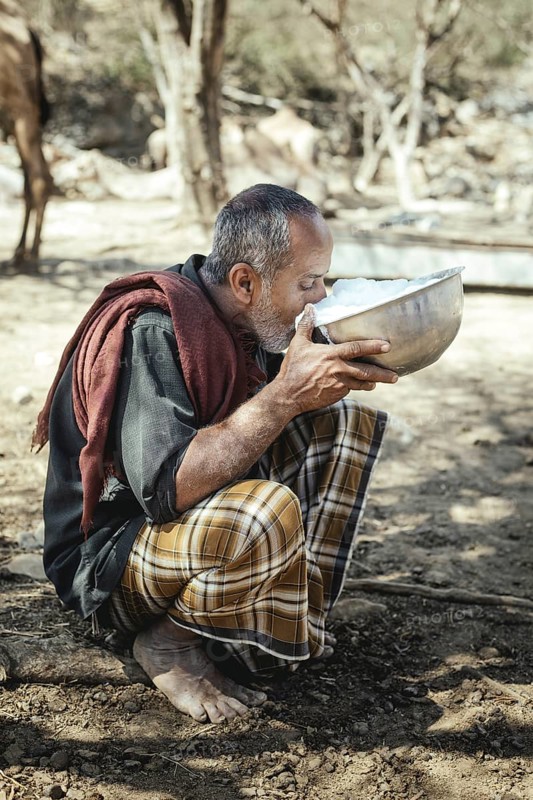Ali drinking milk after milking one of his camels (camelus dromedarius), camel farm of Sheikh Ahmed Ali Al-Mahri, Sarfeit, Dhofar, Oman