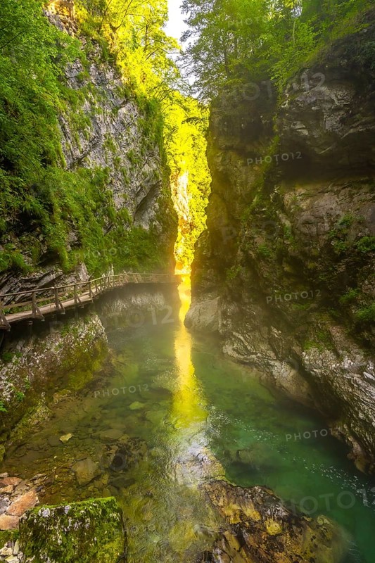 Sunlight illuminating the clear waters of the radovna river flowing through vintgar gorge near bled, slovenia, with a wooden walkway along the canyon