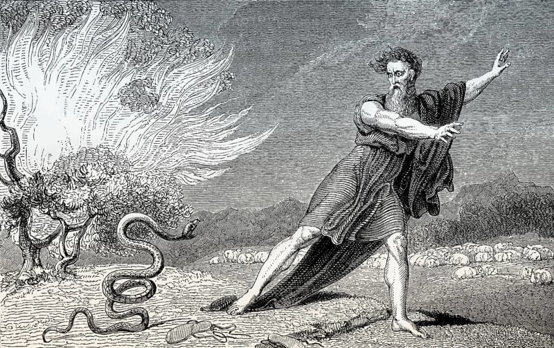 The rod becomes a serpent, Moses, Book of Exodus, Old Testament, Hebrew Tanakh