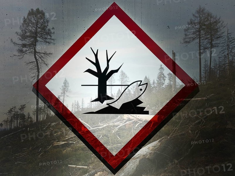 Photo montage, The dangerous goods symbol tree, fish, water, environment, GHS-09 warns of environmentally hazardous chemicals with dead forest, Germany