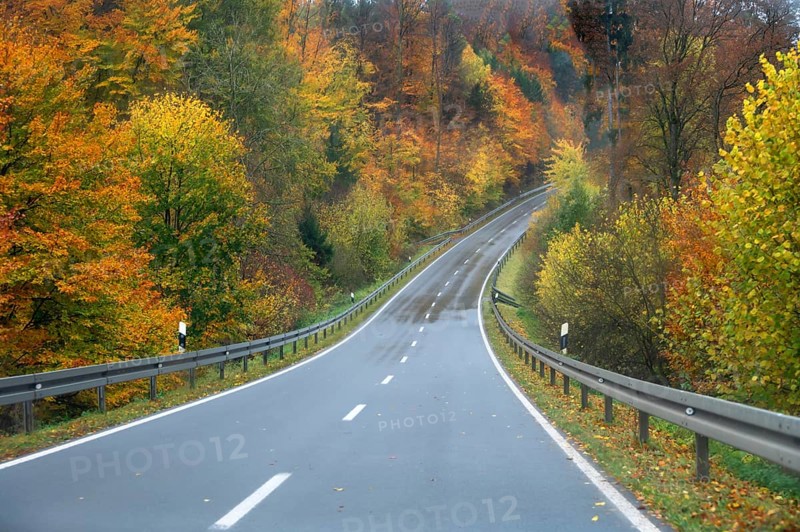 Mixed forest in autumn colors in Franconia on the B2 Nuremberg-Bayreuth, Upper Franconia, Bavaria, Germany