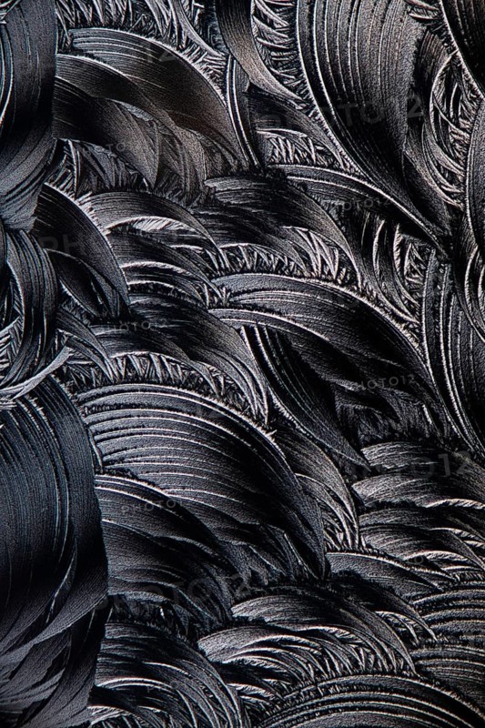 This micrograph captures the intricate patterns of salicylic acid microcrystals. The black and white contrast highlights the feathery, detailed crystal formations, showcasing the fascinating structure at a microscopic level