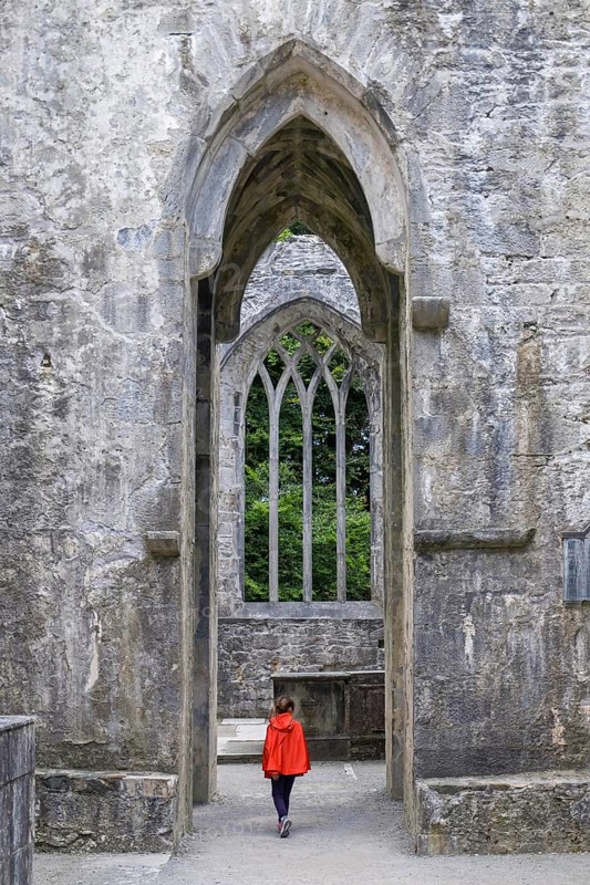 Muckross Abbey, ruined monastery, Killarney National Park, County Kerry, Ireland