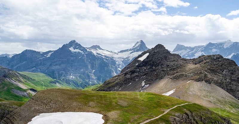 View from the summit of Faulhorn, Finsteraarhorn and Schreckhorn mountain peaks, Bernese Alps, Bernese Oberland, Switzerland