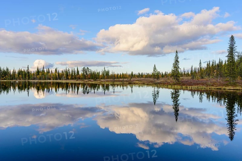 Cloud reflection in a forest lake, Norrbotten, Lapland, Sweden, September 2019