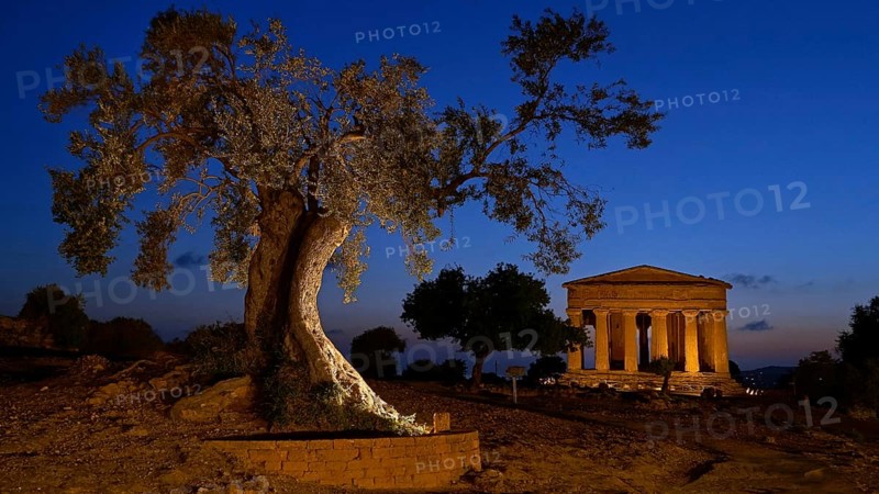 Italy, Sicily, Agrigento, Temple of Concordia at night, Temple of Concordia, Ancient Greece