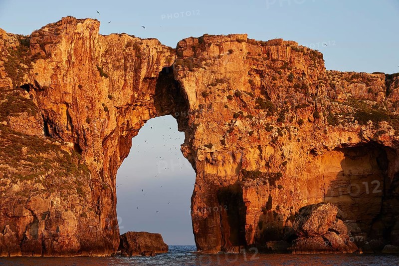 Rock arch with birds flying at golden sunrise, morning light, Tsichli Babas islet, Navarino Bay, Pylos, Peloponnese, Greece